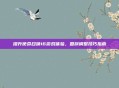 提升使命召唤16游戏体验,国旗调整技巧指南