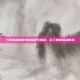 三国杀虚拟世界的温情与挑战，打工群的互动体验