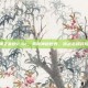神之墓地2.4c，揭秘神秘世界，挑战未知冒险