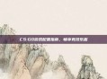 CS:GO游戏配置指南，畅享竞技乐趣