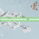 和平精英中仓鼠灰灰的终极归宿，寻找完美家园