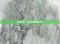树妖护腕，守护苍生的隐性之力