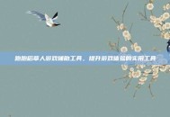 跑跑稻草人游戏辅助工具，提升游戏体验的实用工具