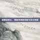 暗黑圣骑士，揭秘其神秘技能与战斗风格