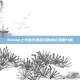 Steam上性感沙滩游戏的定价策略分析