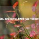 英雄联盟低分段玩家困境与提升策略分析
