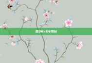 国外lol污网站