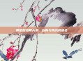 联想拖拉机大赛,创新与挑战的盛会