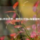 三国杀3月狂欢季，限时礼包码&海量福利速领！