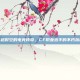 穿越时空的电竞传奇，CF职业选手的不朽旅程