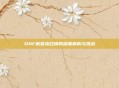 DNF献祭流召唤的深度解析与挑战