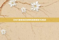 DNF献祭流召唤的深度解析与挑战