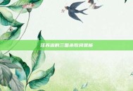 汪苏泷的三国杀歌词赏析