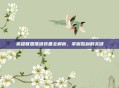 英雄联盟推塔装备全解析，掌握胜利的关键