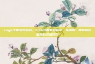 csgo土匪安包密码，CSGO匪家密码学，从滴的一声到拆包密码的灵魂博弈
