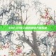 DNF30级人偶的神秘力量揭秘