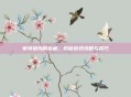 蒙特祖玛的宝藏,揭秘游戏攻略与技巧