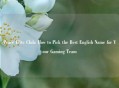 Peace Elite Club: How to Pick the Best English Name for Your Gaming Team