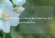 Peace Elite Club: How to Pick the Best English Name for Your Gaming Team