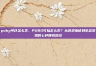 pubg可以怎么卖，PUBG可以怎么卖？从游戏本体到生态变现的七种赚钱路径