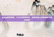 pubg账号皮肤，PUBG账号皮肤，虚拟战场上的硬通货与身份图腾