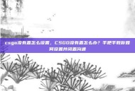csgo没有麦怎么设置，CSGO没有麦怎么办？手把手教你如何设置并闭麦沟通