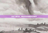 DNF人偶大全，揭秘游戏内隐藏的奇妙世界