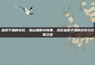 金樱子酒的功效，深山里的补肾果，浅谈金樱子酒的功效与饮用之道