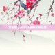 炎狼兽，火与野性的完美结合