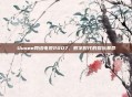 Uusee网络电视2007,数字时代的娱乐革命