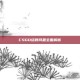 CSGO结账问题全面解析