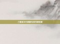 三国杀315策略与技巧的较量