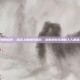 制作表情包软件，指尖上的创作解放，从表情包狂热到人人都是艺术家
