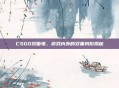 CSGO双面龟,游戏内外的双重身份揭秘