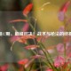 CF单挑17期，巅峰对决！战术与枪法的终极较量