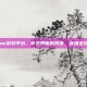 Steam游戏平台，中文界面的桥梁，连接全球玩家