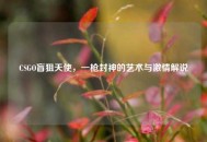 CSGO盲狙天使，一枪封神的艺术与***解说