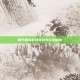 和平精英游戏特色与玩法解析