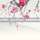 斯瓦尔巴条约，斯瓦尔巴条约，北极圈内的中国足迹