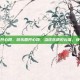 游乐园开心网，游乐园开心网，当欢乐遇见云端，快乐加倍