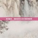 紫色曲玉，神秘宝石与文化象征的探索