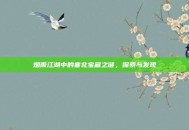 烟雨江湖中的塞北宝藏之谜，探索与发现