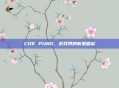 CDK PUBG，游戏界的新星崛起