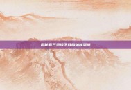 揭秘真三录像下载的神秘渠道