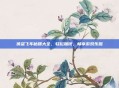 侠盗飞车秘籍大全，轻松加钱，畅享游戏乐趣