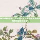 王者荣耀官方角色信息，王者荣耀官方角色信息大解密，英雄背后的故事与设定