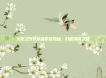 火炬之光2最强套装揭秘,打造传奇之路