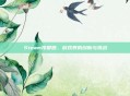 Steam投掷器，游戏界的创新与挑战