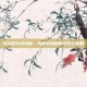 逆战芭比透视图，揭秘游戏隐藏技巧与策略
