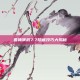 兽神演武7.7隐藏技巧大揭秘